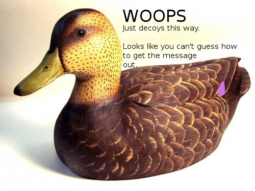 duck.jpg